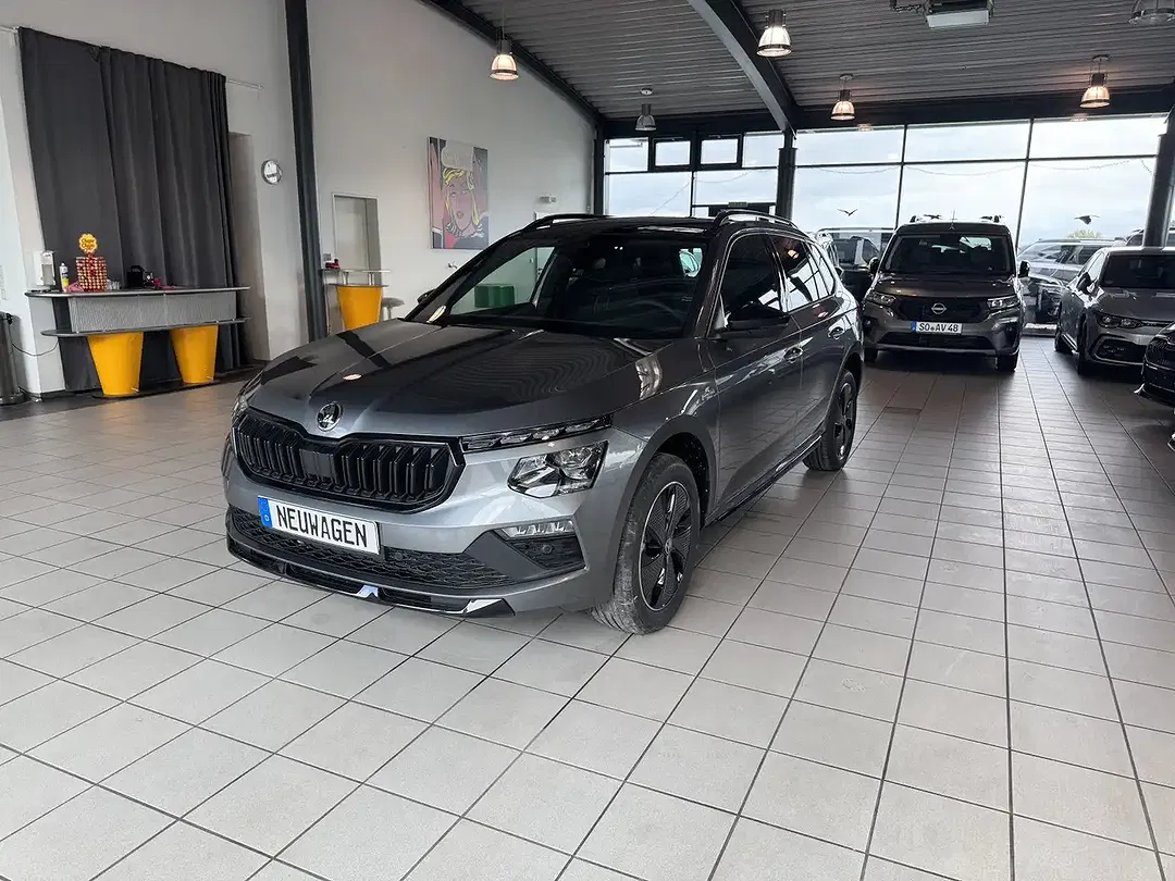 Skoda Kamiq - Thumbnail 1