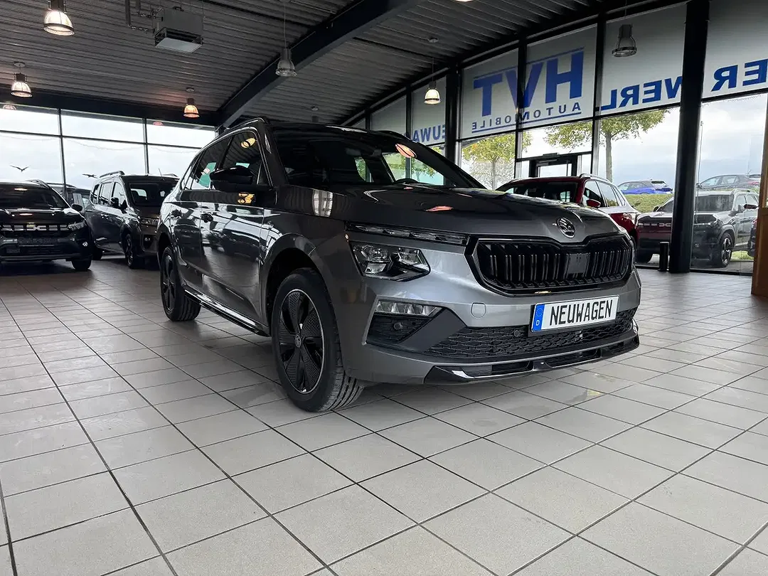 Skoda Kamiq - Thumbnail 9