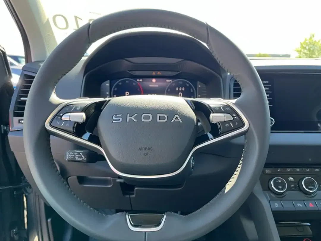 Skoda Karoq - Thumbnail 11