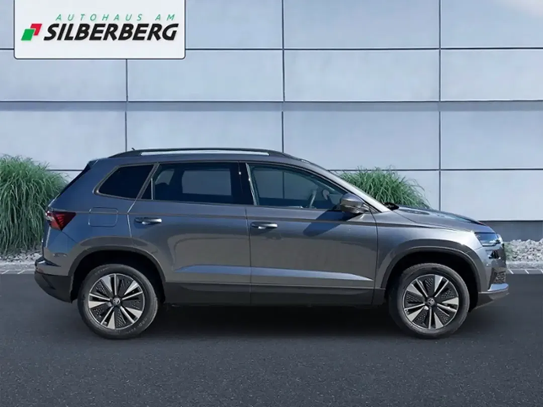 Skoda Karoq - Thumbnail 2
