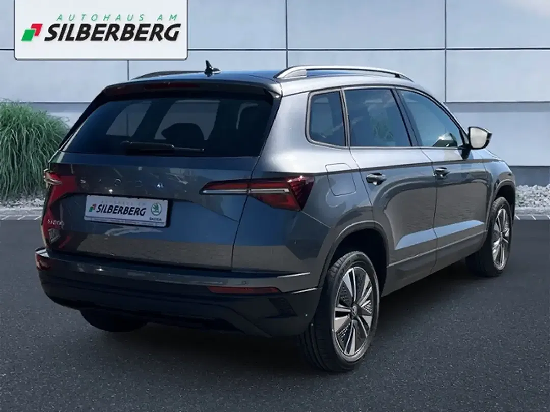 Skoda Karoq - Thumbnail 3