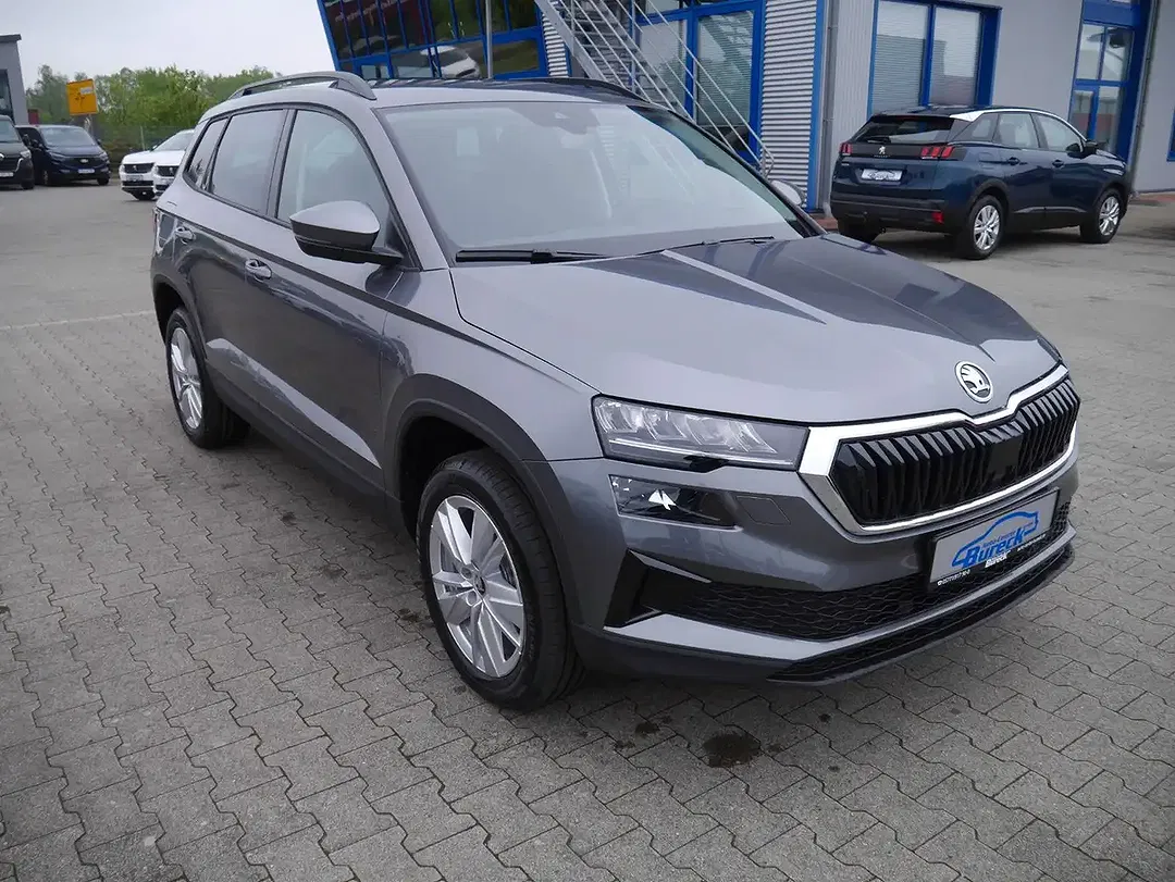 Skoda Karoq - Thumbnail 1