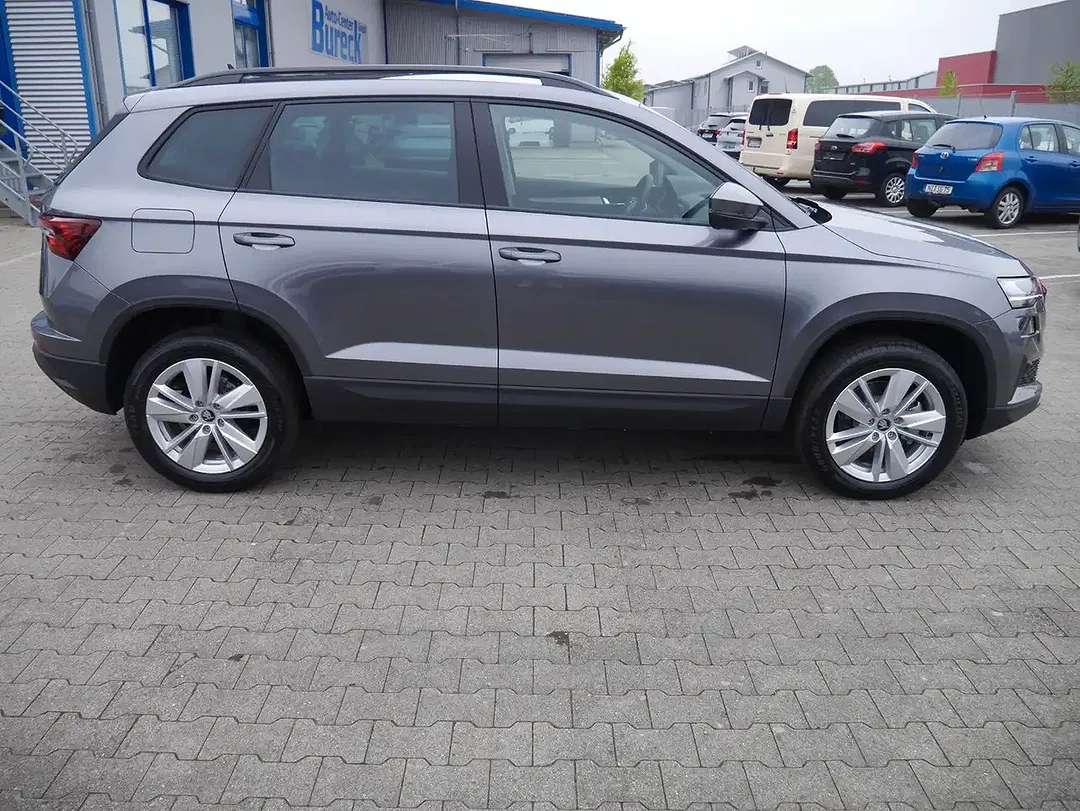 Skoda Karoq - Thumbnail 12