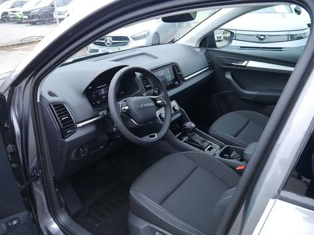 Skoda Karoq - Thumbnail 14
