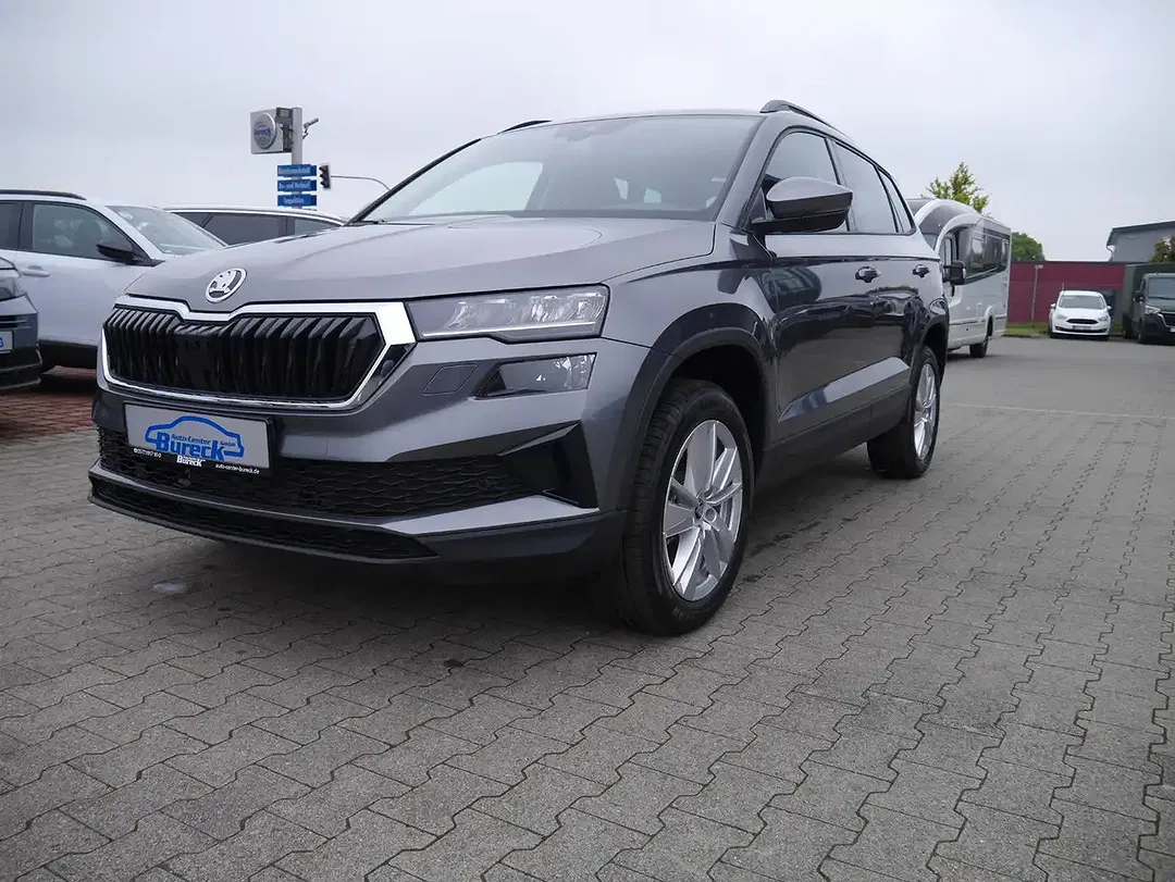 Skoda Karoq - Thumbnail 2