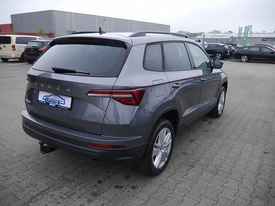 Skoda Karoq - Thumbnail 8
