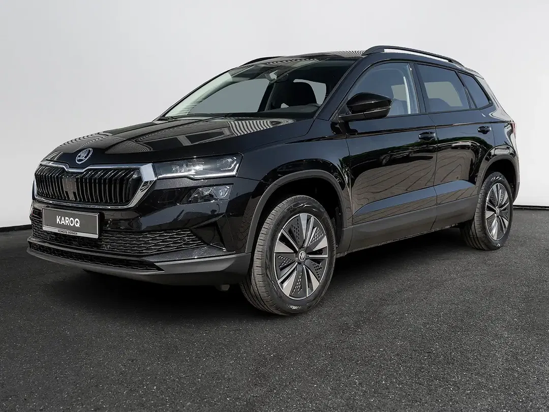 Skoda Karoq - Thumbnail 1