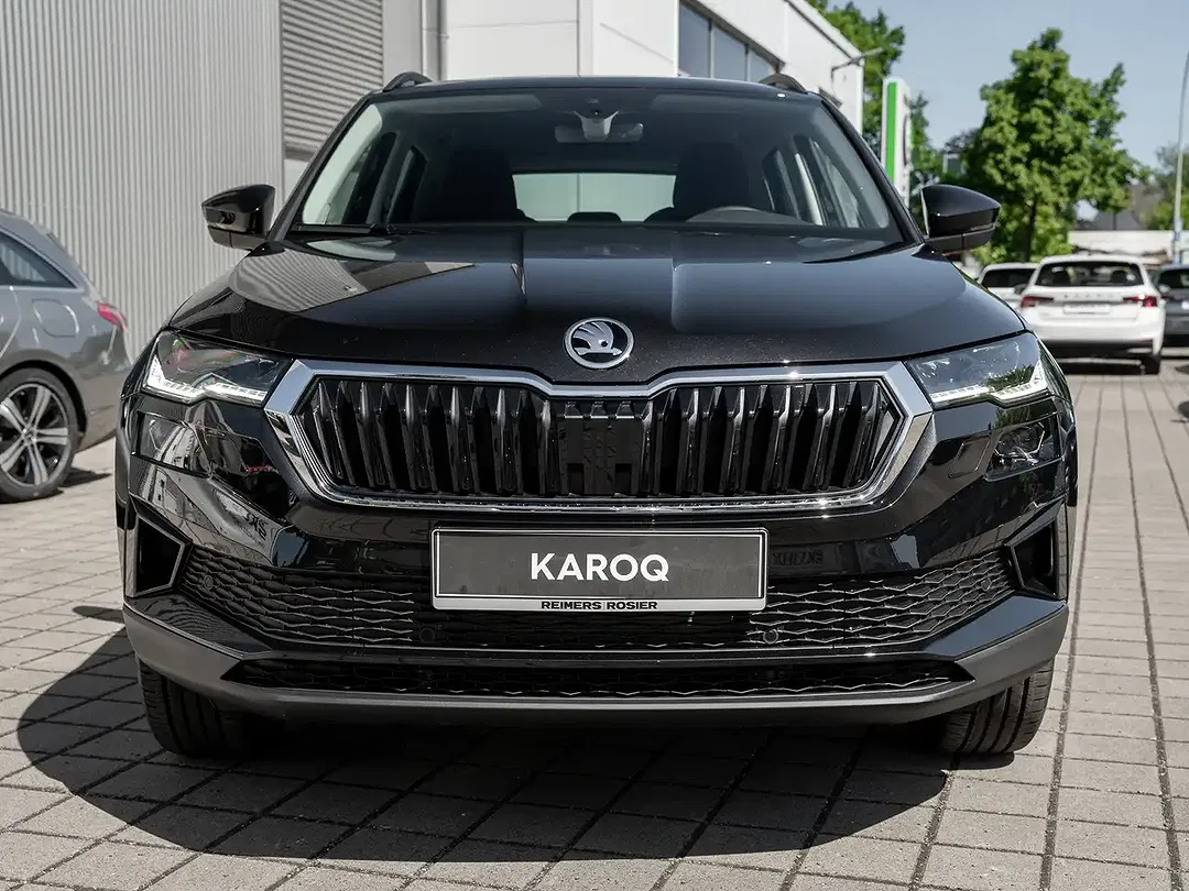 Skoda Karoq - Thumbnail 2