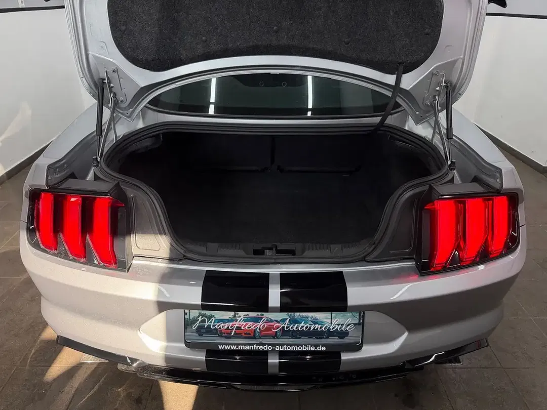 Ford Mustang - Thumbnail 11