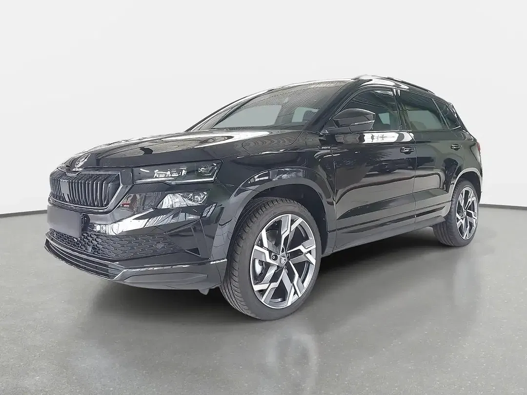 Skoda Karoq - Thumbnail 1