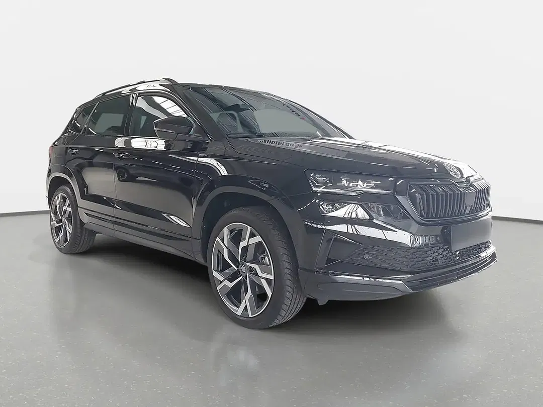 Skoda Karoq - Thumbnail 2