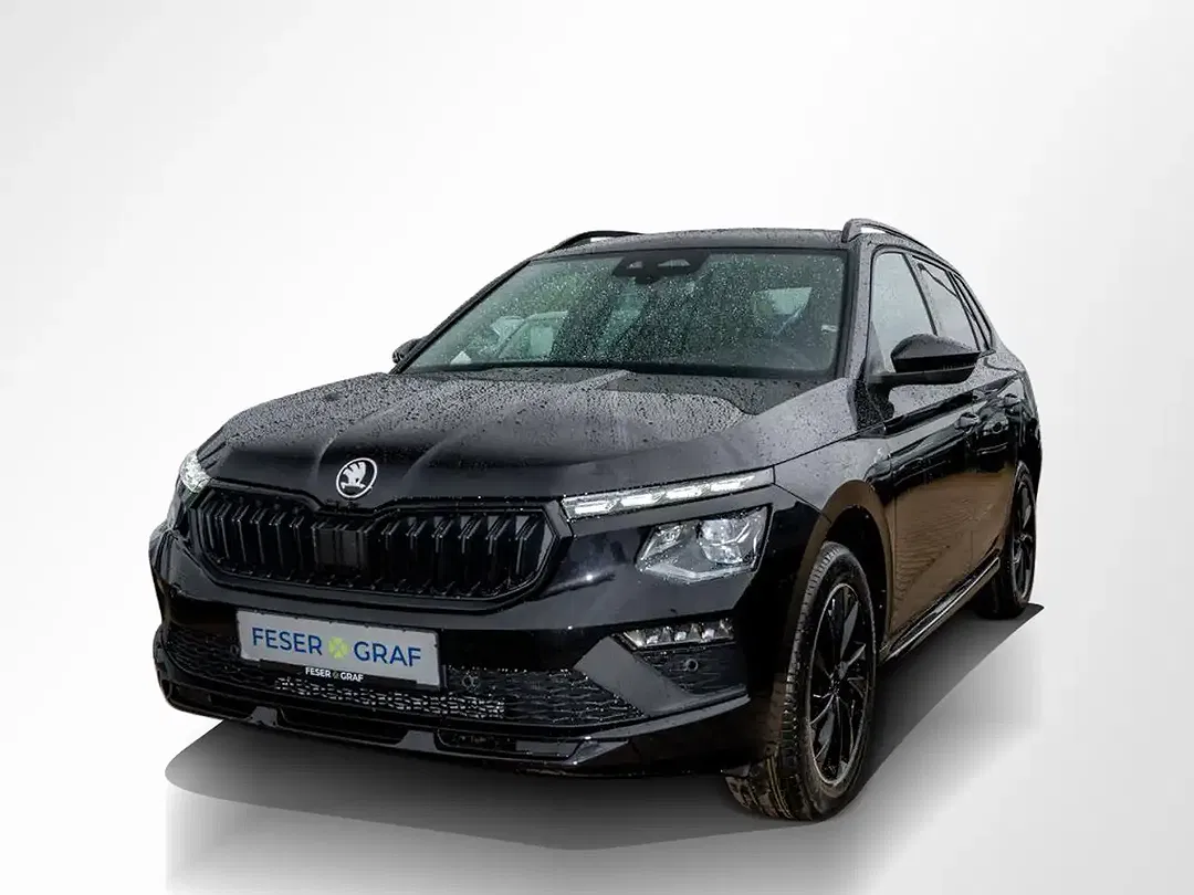 Skoda Kamiq - Thumbnail 11