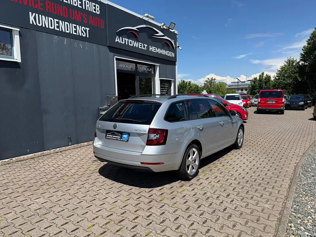 Skoda Octavia - Thumbnail 12