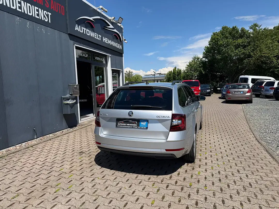 Skoda Octavia - Thumbnail 13