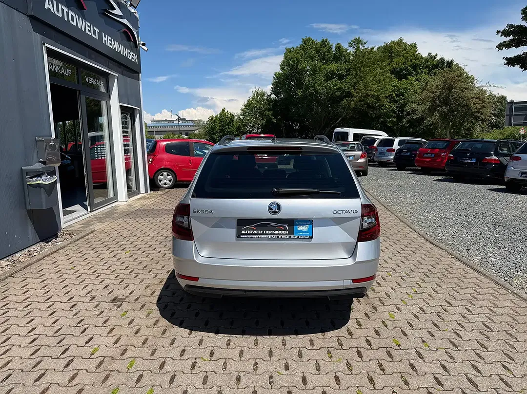 Skoda Octavia - Thumbnail 14