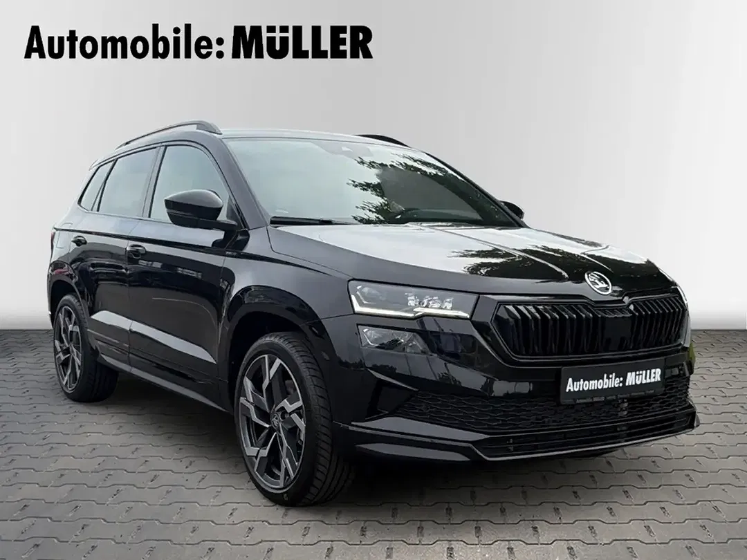 Skoda Karoq - Thumbnail 9