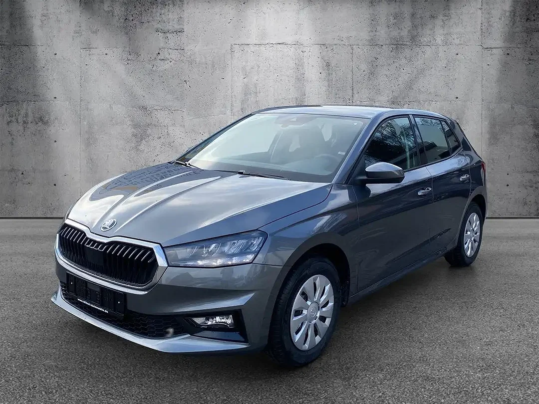 Skoda Fabia - Afbeelding 1