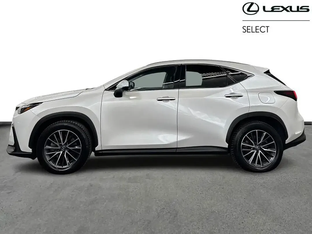 Lexus NX 450h+ - Thumbnail 2