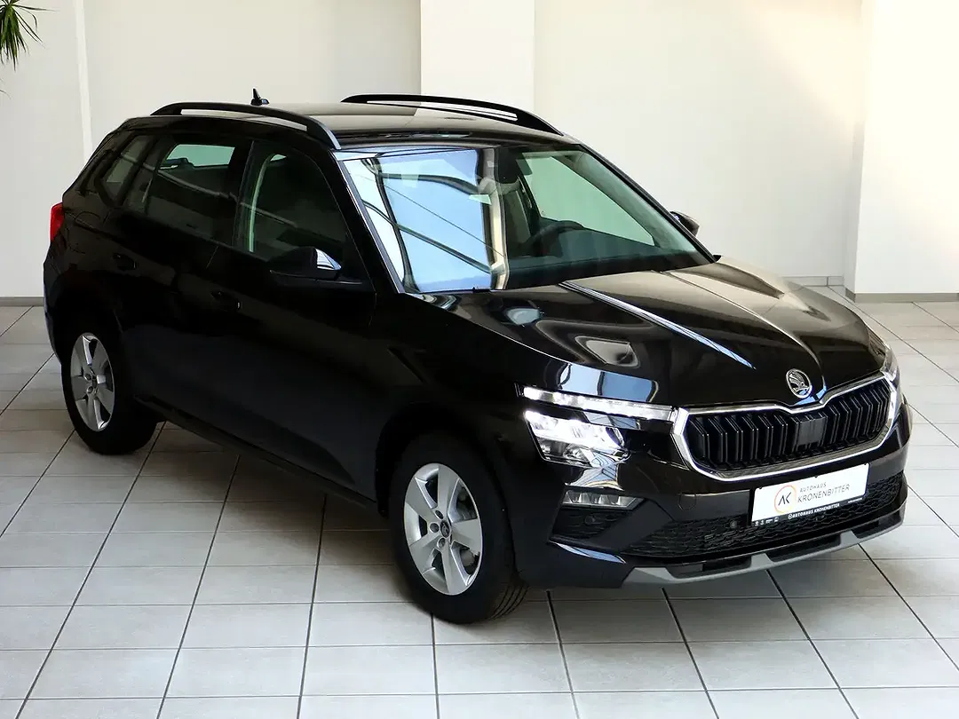 Skoda Kamiq - Thumbnail 10