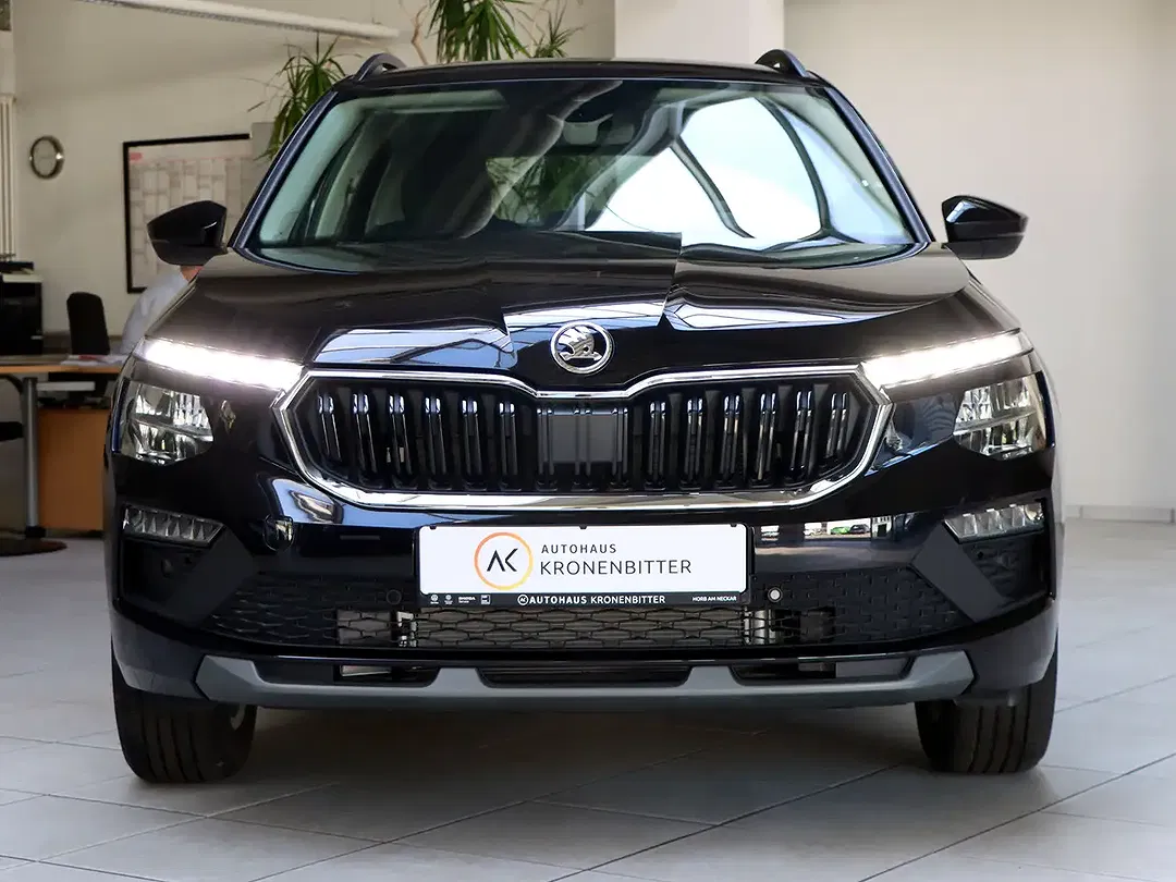 Skoda Kamiq - Thumbnail 2