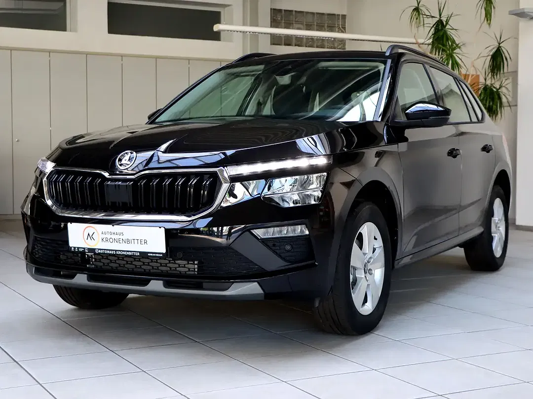 Skoda Kamiq - Thumbnail 3