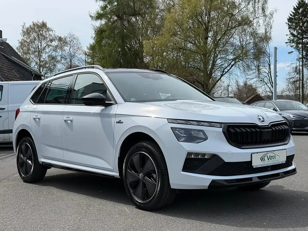 Skoda Kamiq - Thumbnail 4