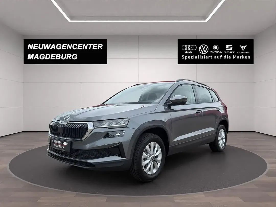 Skoda Karoq - Thumbnail 1