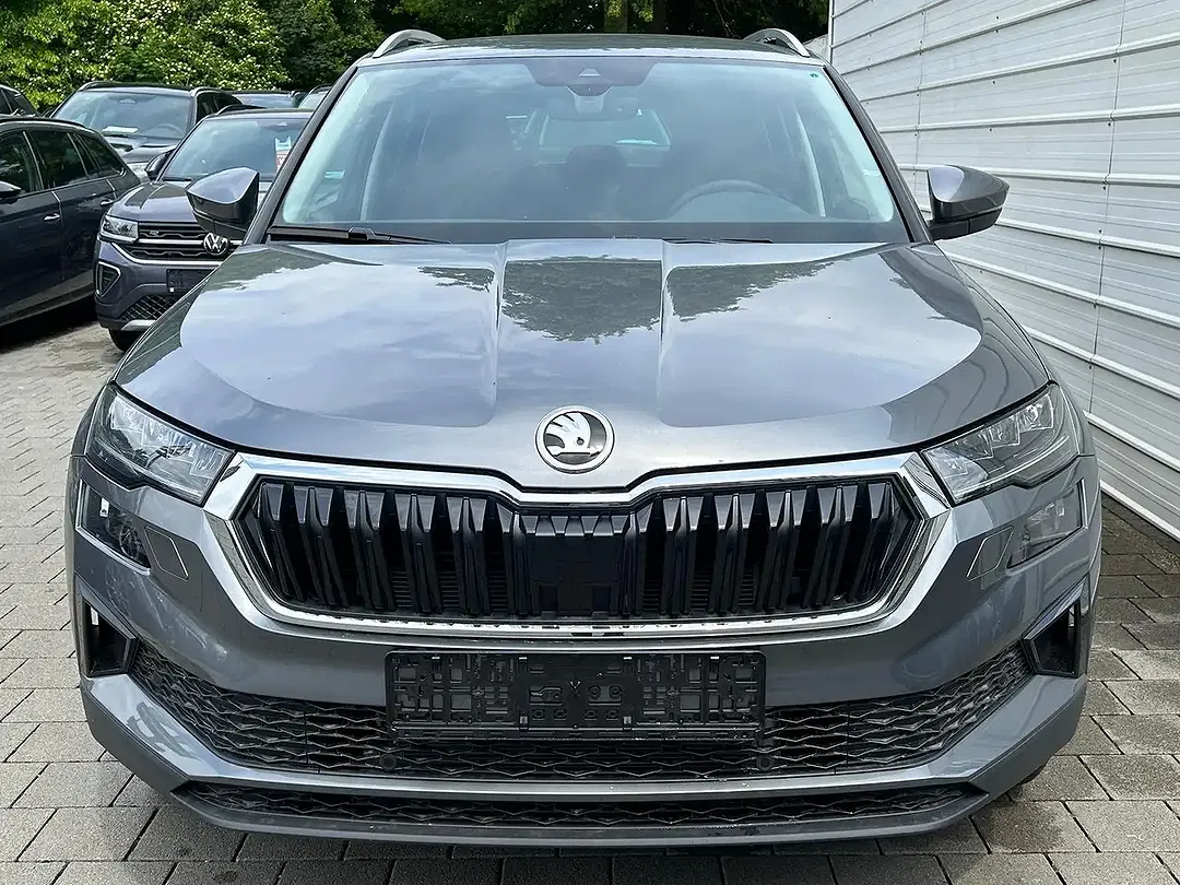 Skoda Karoq - Thumbnail 2