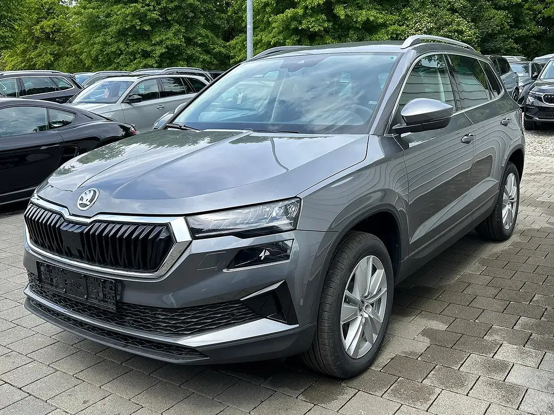 Skoda Karoq - Thumbnail 3