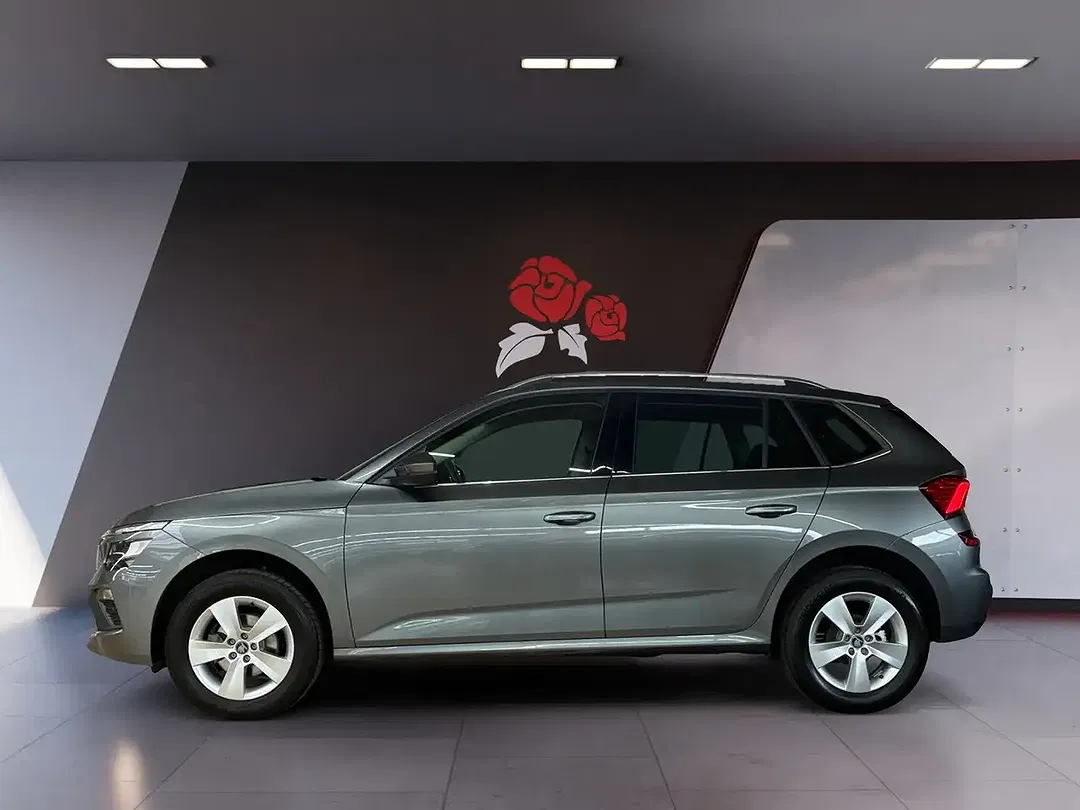 Skoda Kamiq - Thumbnail 2