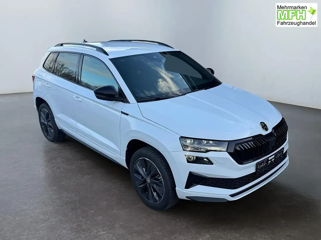 Skoda Karoq - Thumbnail 7