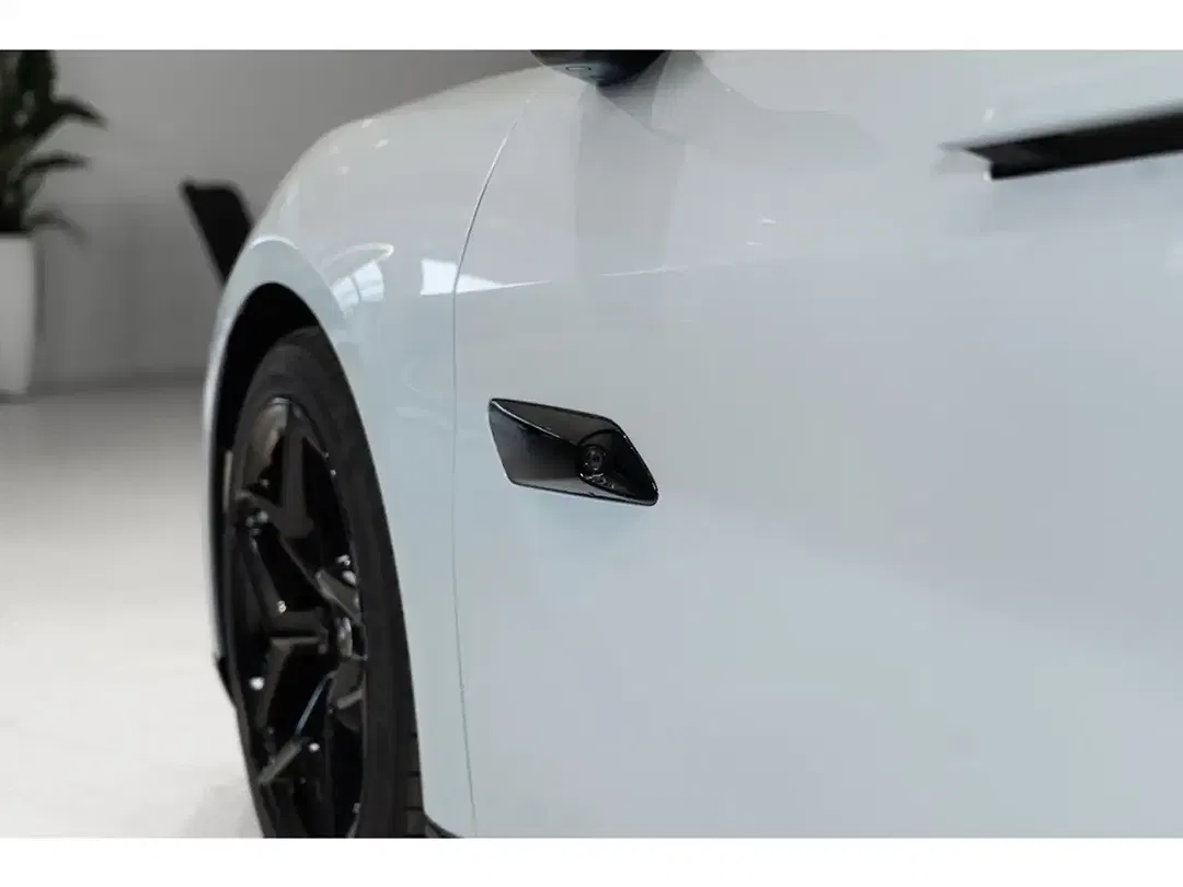 Lotus Emeya - Thumbnail 13