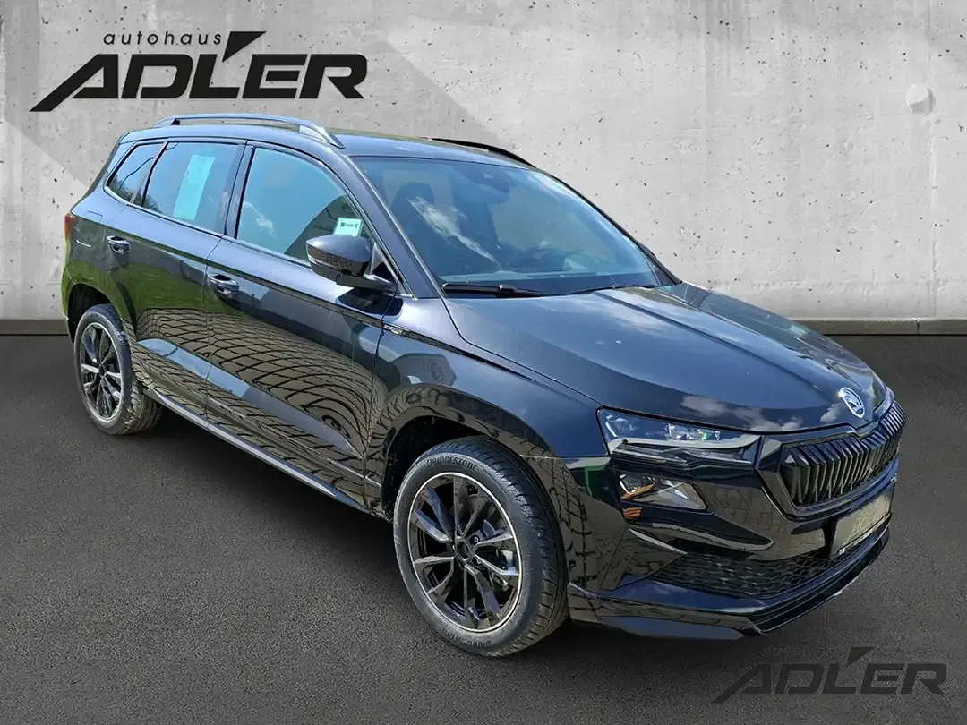 Skoda Karoq - Thumbnail 3