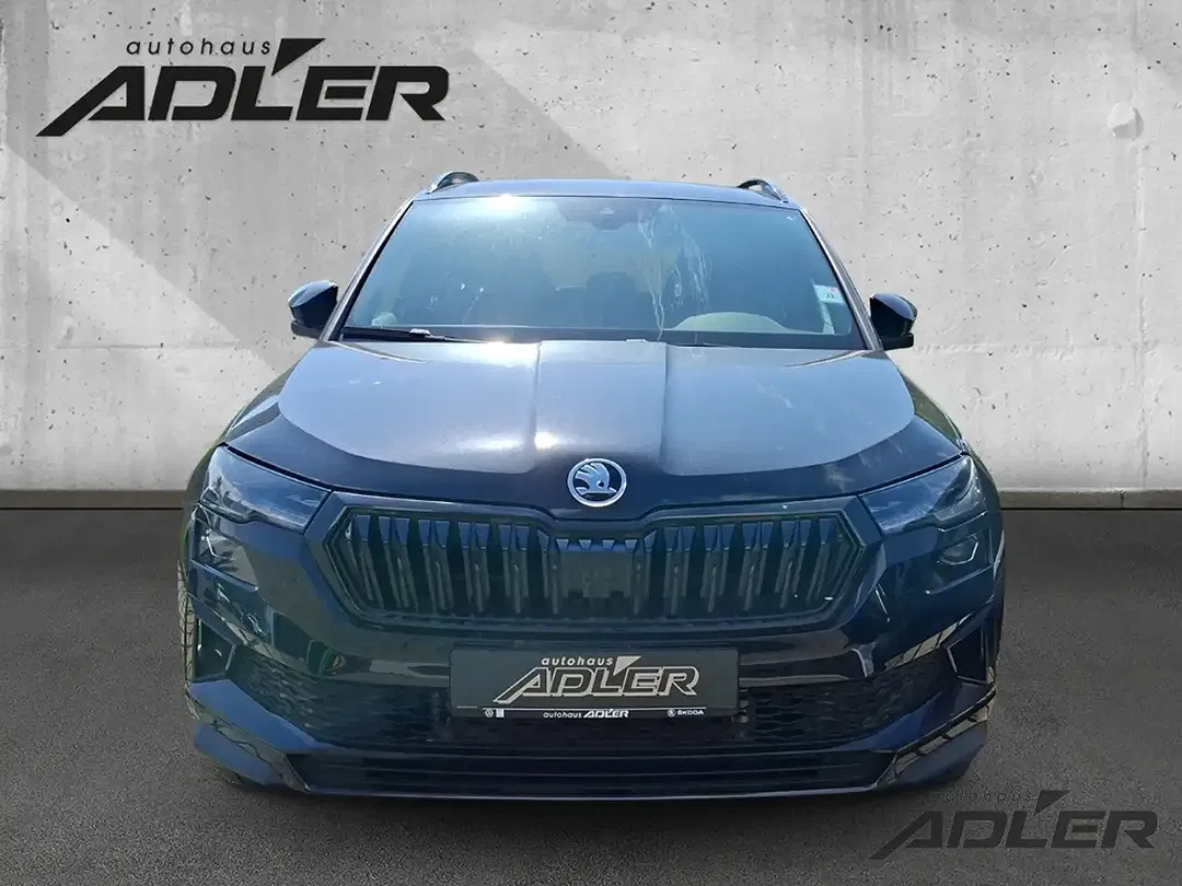 Skoda Karoq - Thumbnail 6