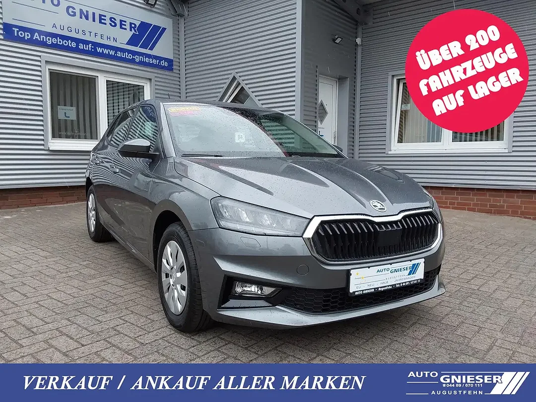 Skoda Fabia - Afbeelding 1