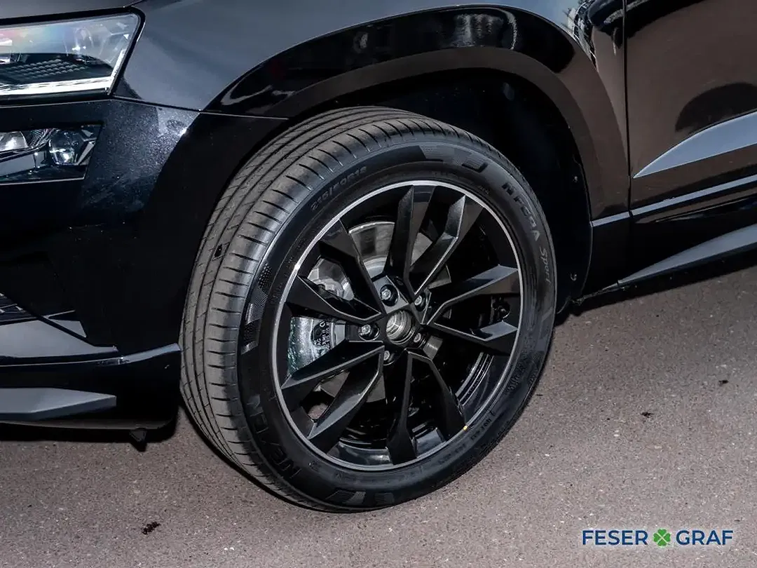 Skoda Karoq - Thumbnail 10
