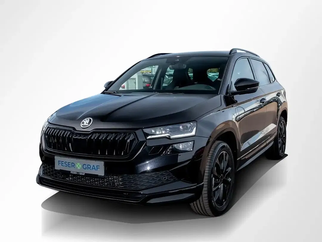 Skoda Karoq - Thumbnail 11