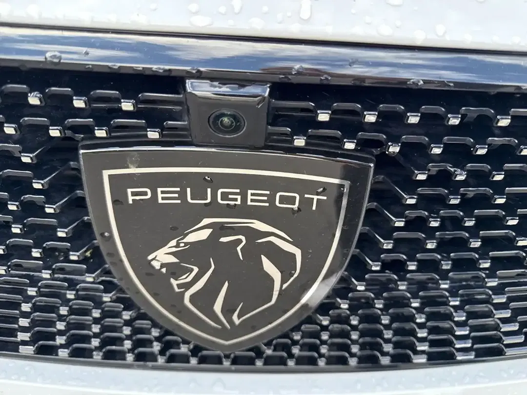 Peugeot 308 - Thumbnail 12