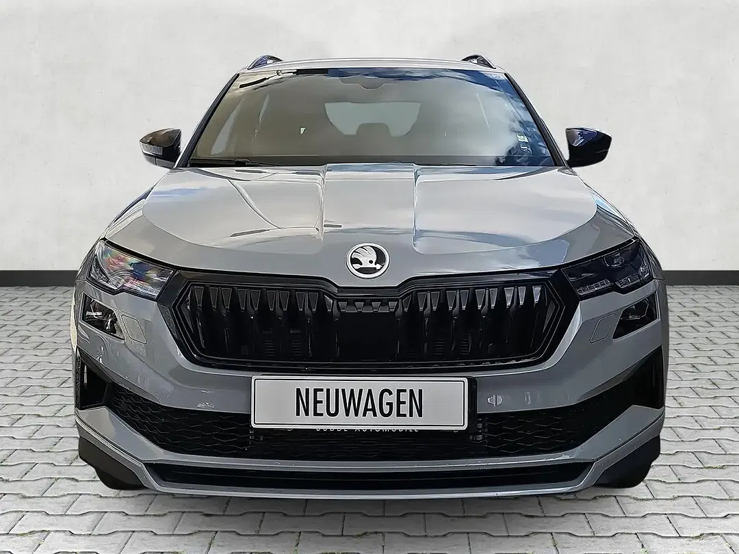 Skoda Karoq - Thumbnail 16