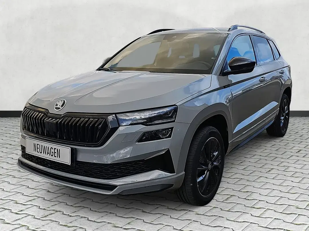 Skoda Karoq - Thumbnail 17
