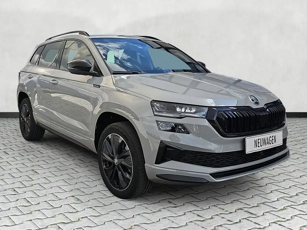 Skoda Karoq - Thumbnail 1