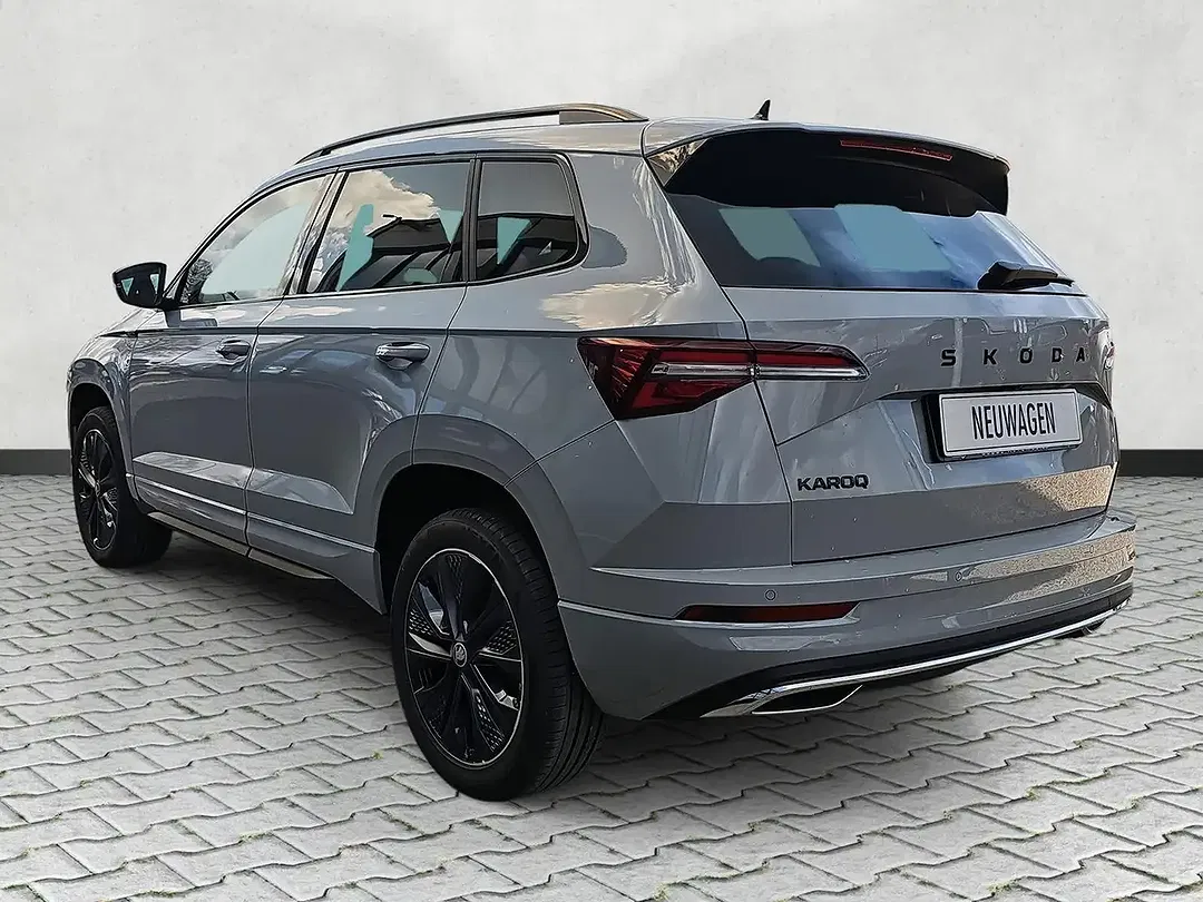 Skoda Karoq - Thumbnail 19