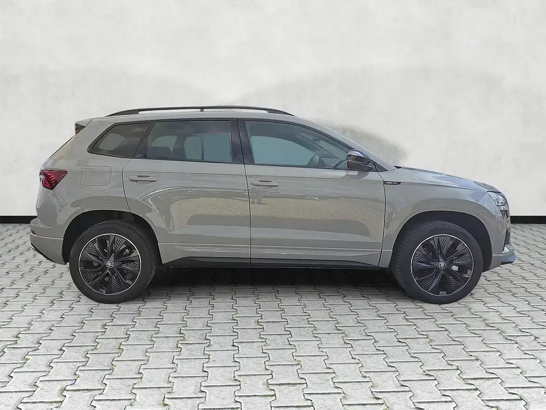 Skoda Karoq - Thumbnail 22