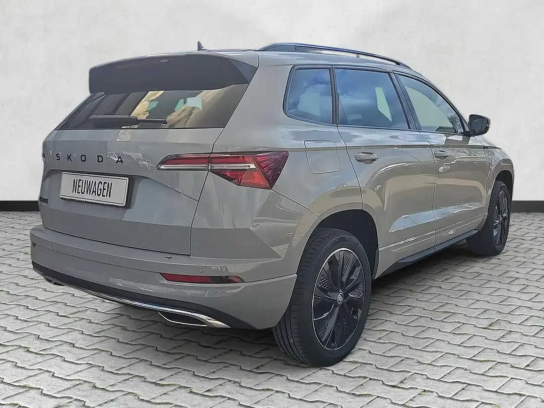 Skoda Karoq - Thumbnail 7