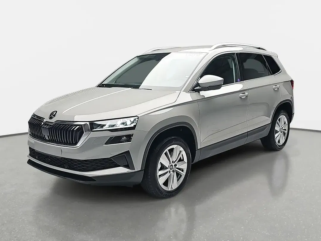 Skoda Karoq - Thumbnail 1