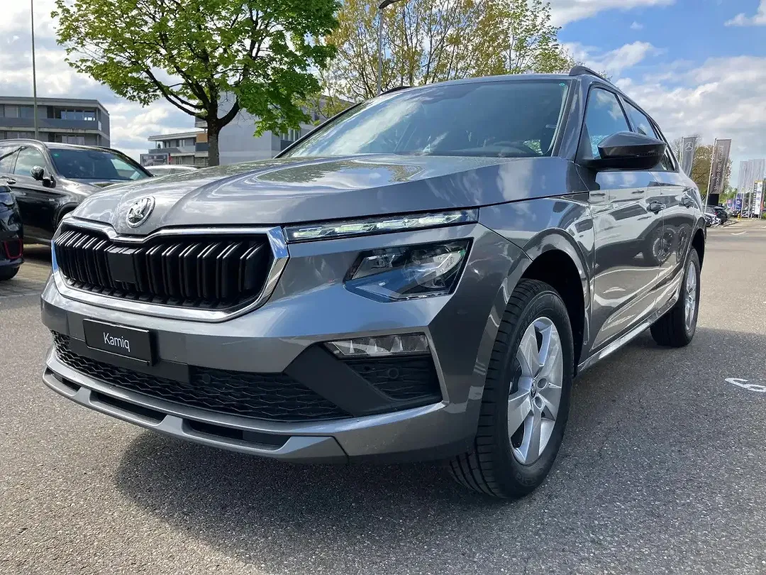 Skoda Kamiq - Thumbnail 13