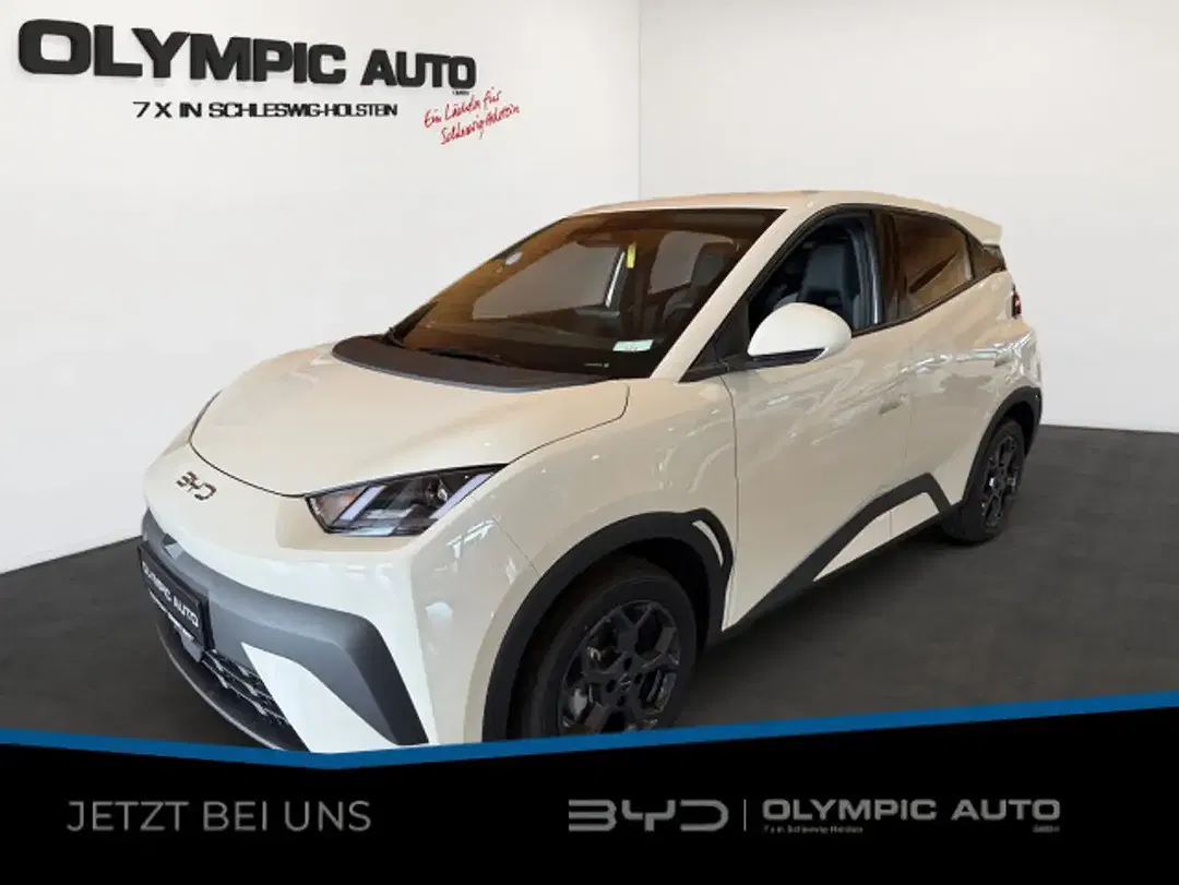 BYD Dolphin - Thumbnail 1