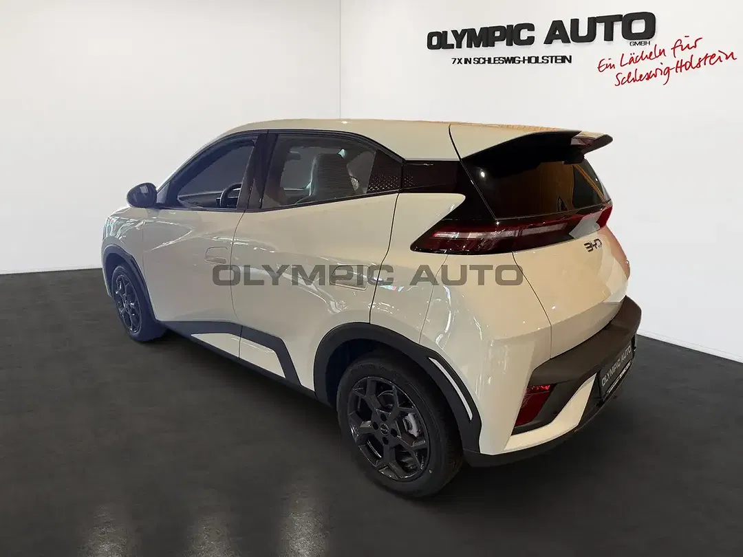 BYD Dolphin - Thumbnail 4