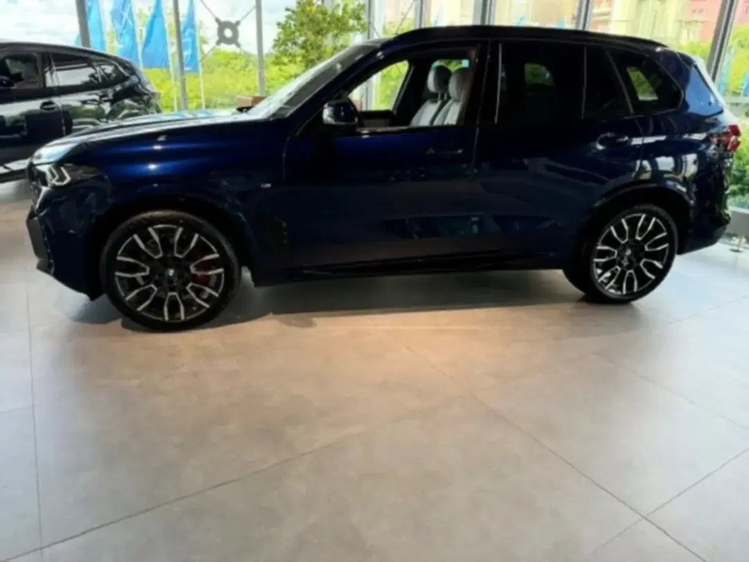 BMW X5 - Thumbnail 2