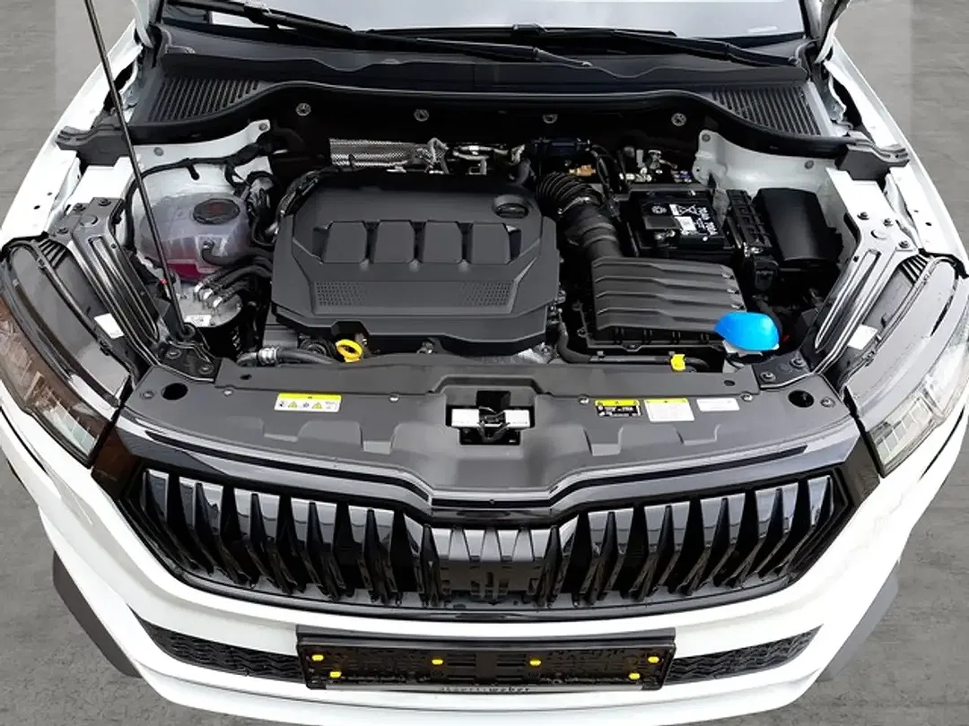 Skoda Karoq - Thumbnail 15